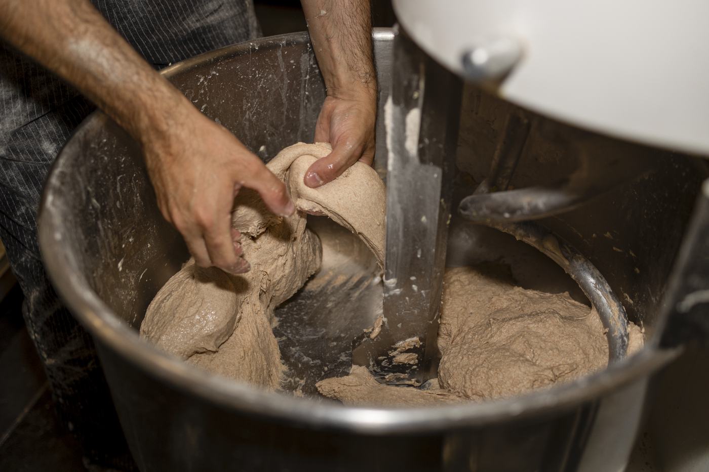 Reportage nel laboratorio del panificio artigianale Fermento